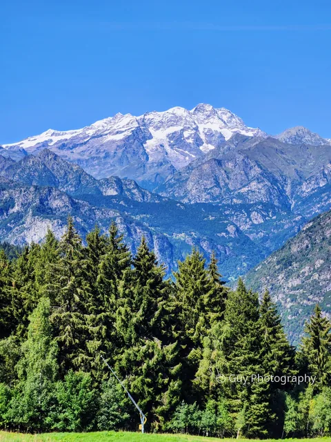 Peaks above the pines