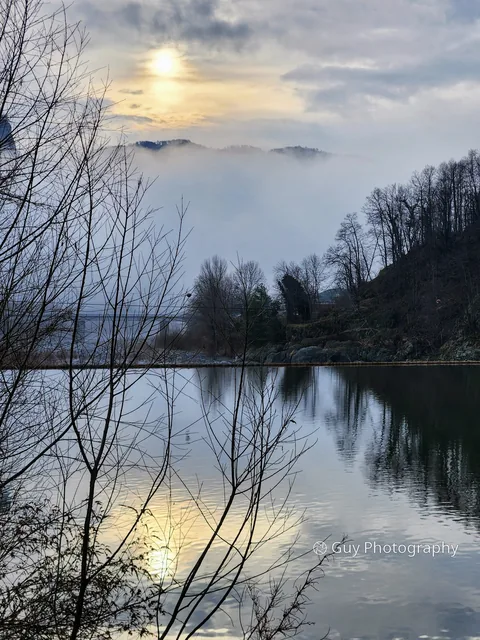 Sun through the fog