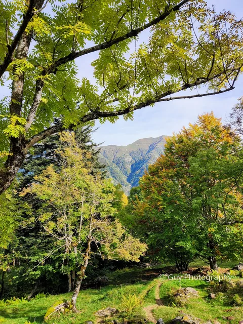 Window to the valley